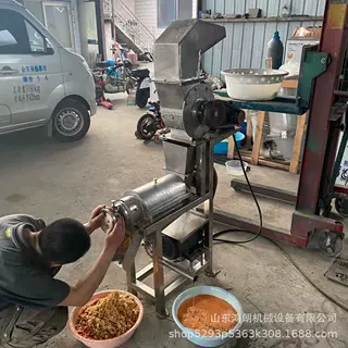 桑叶大型脱汁机 黄桃果汁压榨机 商用黄金梨榨汁机