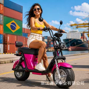 Citycoco geniş təkərli elektrik velosipedləri, böyüklər üçün elektrik skuterləri