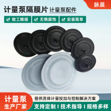 计量泵隔膜片PTFE复合材质耐腐蚀密封无泄漏 化工水处理通用配件