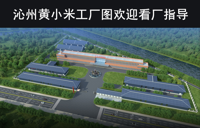 工厂-001.jpg