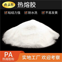 PA热熔胶粉数码打印PA聚酰胺热熔粉皮革贴合热熔粉高弹热熔胶粉