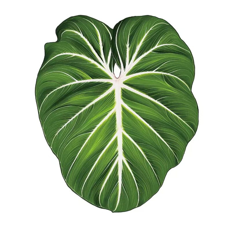 植物の魔法】熱帯の珍しい植物のアイデアの緑の植物の冷蔵庫は緑の植物の装飾の植物のシリーズの冷蔵庫を貼って貼ります。|undefined