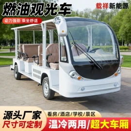 其他电动车;电动观光车;其他非机动车