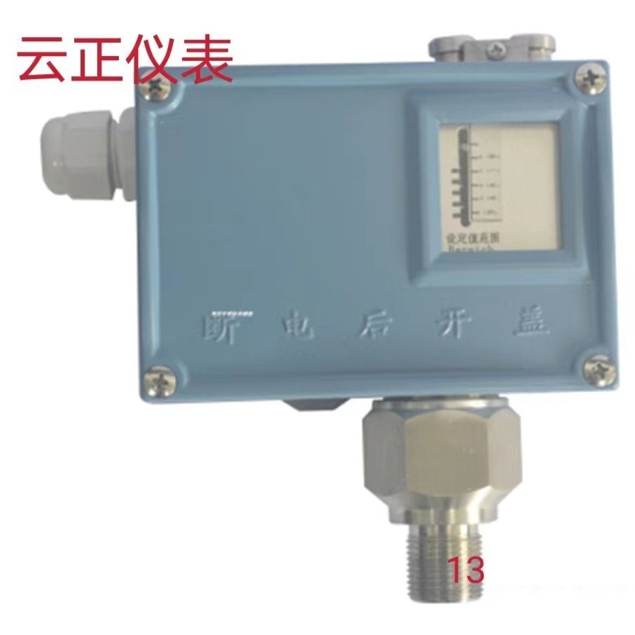 DK3XX中低压压力控制器 变送器
