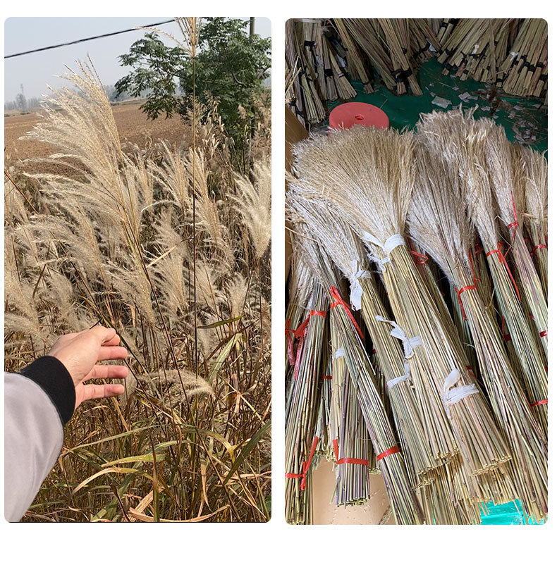 白色小拂尘详情页_08