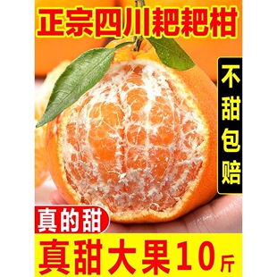 �Ĵ���Ҋ�ҰҸ����θ�10�������𮔼������������rˮ����̽���؛