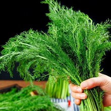 ��������r�Fժ�����玧��500g������W���r��С��������r�߲�