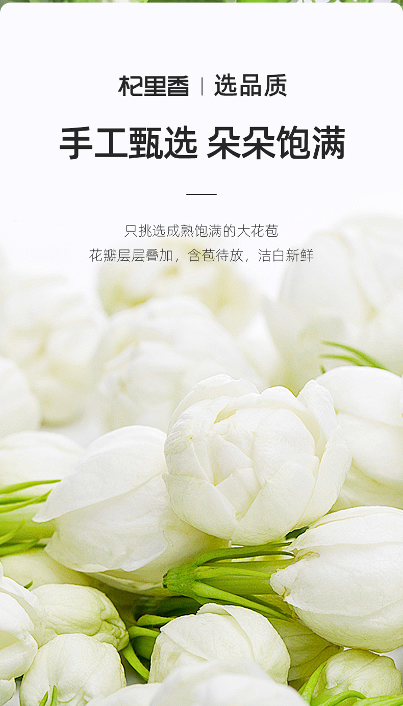 Jasmine Flower Tea Mo Li Hua 28g Bottle Dried Jasmine Buds Guangxi Loose Floral Tea quality and texture