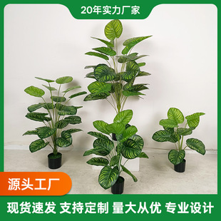 ���W�L����Gֲ���O���������Դ��~�پG�~�����b��҃�����[��