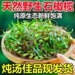 贵州野石橄榄新鲜双叶单叶中果500g仙桃果上叶煲汤小炖汤养生材料
