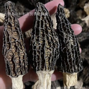 ��Ǿ���ϸ�؛���خaԭ�a�����l�ɾ��ϱ���؛���ذ��]