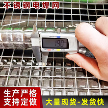 304不銹鋼電焊網格柵篩網加粗焊接網片方格圍欄網養殖網過濾網