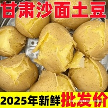 定西甘肃土豆新鲜沙面黄心蔬菜现挖批发2025黄皮整箱马铃薯洋芋