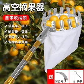 灯笼;节庆用品;收纳架
