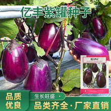 �|�S�Ϲ޷N�����������N�ݾ����߲˷N�Ѵ����ﶬ���ӷN���������l