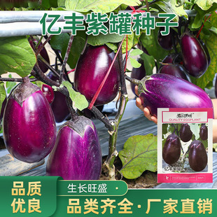 �|�S�Ϲ޷N�����������N�ݾ����߲˷N�Ѵ����ﶬ���ӷN���������l