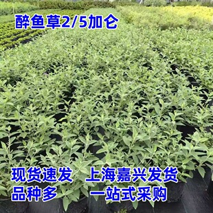 ���~�����Զ������ͺ��͟Ứ��ľ���@�������^�L����༾���_��