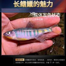 ԭ���~�L���v�һ��~Ϫ���~�R�ڵ�ˮ��ˮ�^�p�~�����ͻ���B