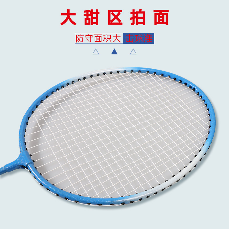 Factory direct sales ferroalloy split practice badminton racket set sports indoor and outdoor beginners badminton racket