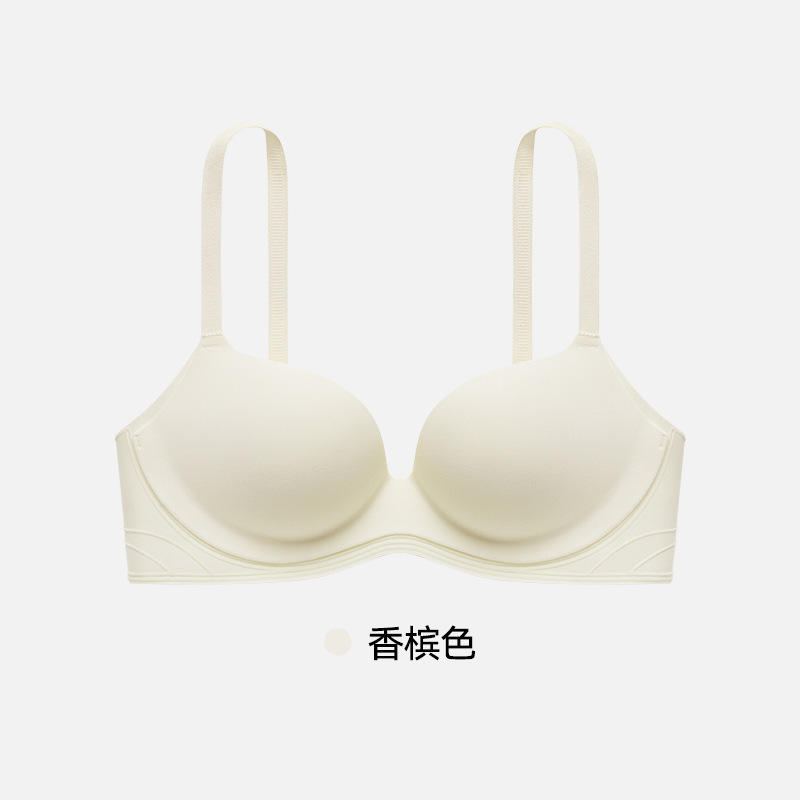 샴페인