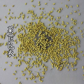 种子;其他园林植物;灌木