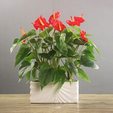 红掌仿真花轻奢高端摆件办公会议室绿植盆栽假花摆设高档装饰花卉