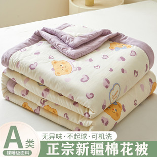 Government Subsidy Price 2025 New Cotton Xinjiang Cotton Quilt Summer Quilt Summer Cool Quilt Air Conditioning Machine Washable Thin Quilt
