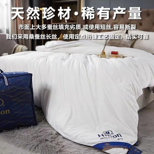 Hilton Hotel Silk Quilt Mulberry Silk Summer Quilt Air Conditioning Quilt Spring Autumn Quilt Warm Winter Quilt Core Gift Wholesale