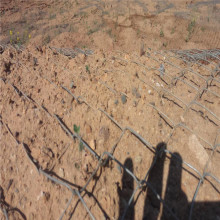 ����ֲ����\䓽z�W ���|߅�¾G�����{�F�z�W Һ�������F�z�W�S��