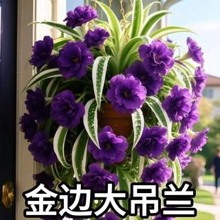 ������m���ذ�󻨵��m�_���󻨝����ͻ�����ˮ�����B�o
