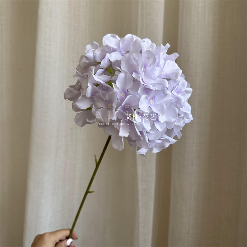 밝은 보라색