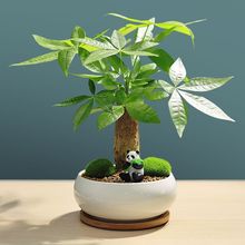 �lؔ�����Ԅ�����؈�[���k���҃����滨�ܾGֲ���^�辰��ؔ���F��