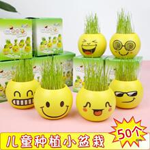 �����ֶYС��Ʒ�йܰ�С�|��������@�����Ј���ͯ��ĩ���ɫ