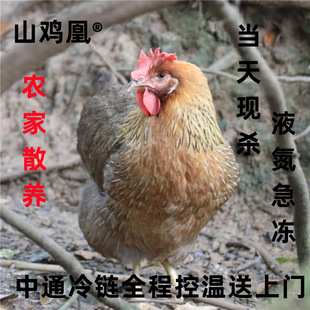 տ���u ���r���uԴ�^���S�F���r��ɢ�B�ߵ��u���u�u�u��ĸ�u