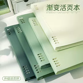 文件夹;活页本;文件袋