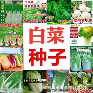 ����߲˰ײ˷N�Ӵ�ȫ���l���Ϳ�����޲����50�ﶬˮ���߲˷N��