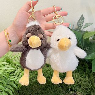 �ɐ��ȰlС�Bë�q耳׿ے����ͨ�u�ΰl��żë�q�����H�Y��