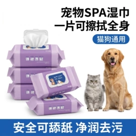 湿巾纸;湿厕纸;厨房用纸