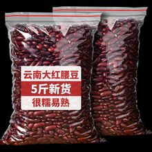 ��؛�t������خa�r�Ҽt������t�������ా������tܿ�����l�r