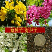 ̻NӼtS뻱󻱘޽㻨󻱘ѷN