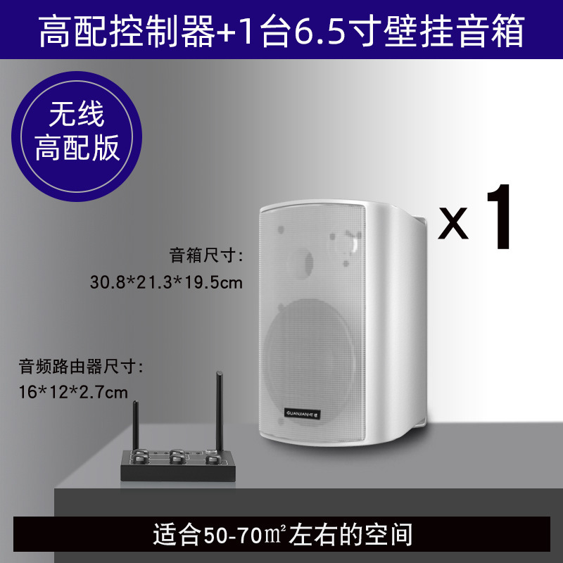 壁挂无线音响店铺舞蹈教室餐厅健身房会议室商用音箱组合套装|undefined