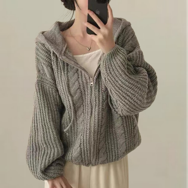 Korean chic autumn and winter loose-fitting cable-knit double-zipper hooded long-sleeve cardigan sweater for women Korean chic autumn and winter loose-fitting cable-knit double-zipper hooded long-sleeve cardigan sweater for women