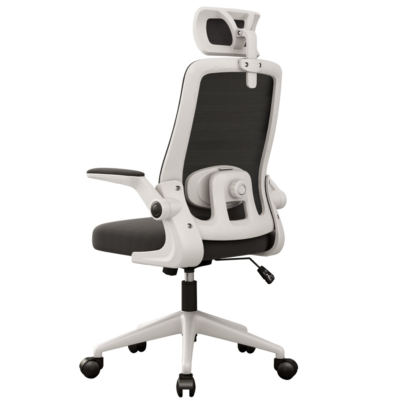 silla de estudio silla de computadora sedentaria silla de oficina doméstica ergonomía escritorio silla de estudiante respaldo