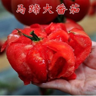 �����N�Ϸ��� ��Ʒ�N���ѷN�� ������t���N���з���ζ