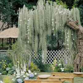 水竹叶丝干花垂吊挂花艺美陈花材亮草婚庆花材大型草月流摆件