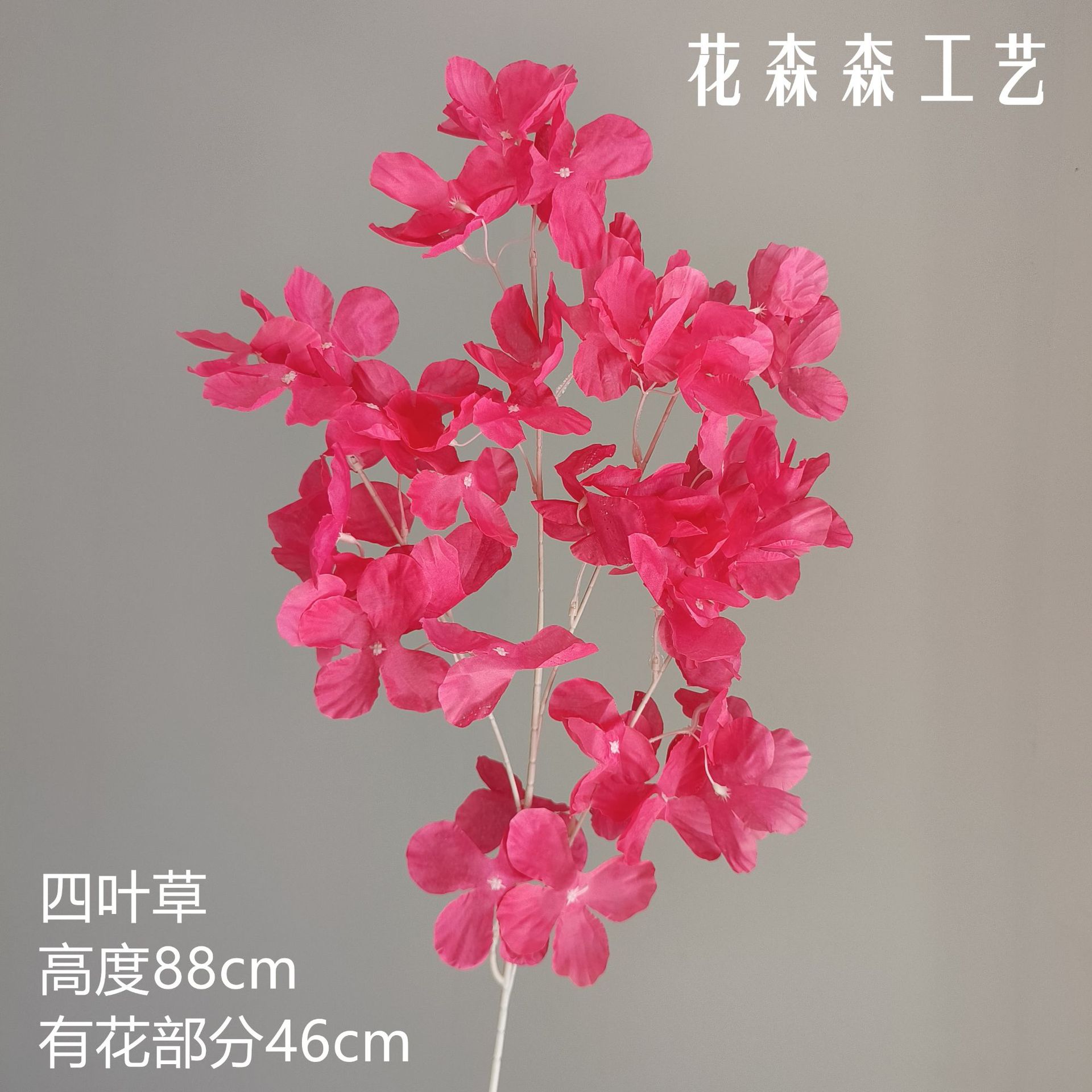 네 잎 클로버 134817