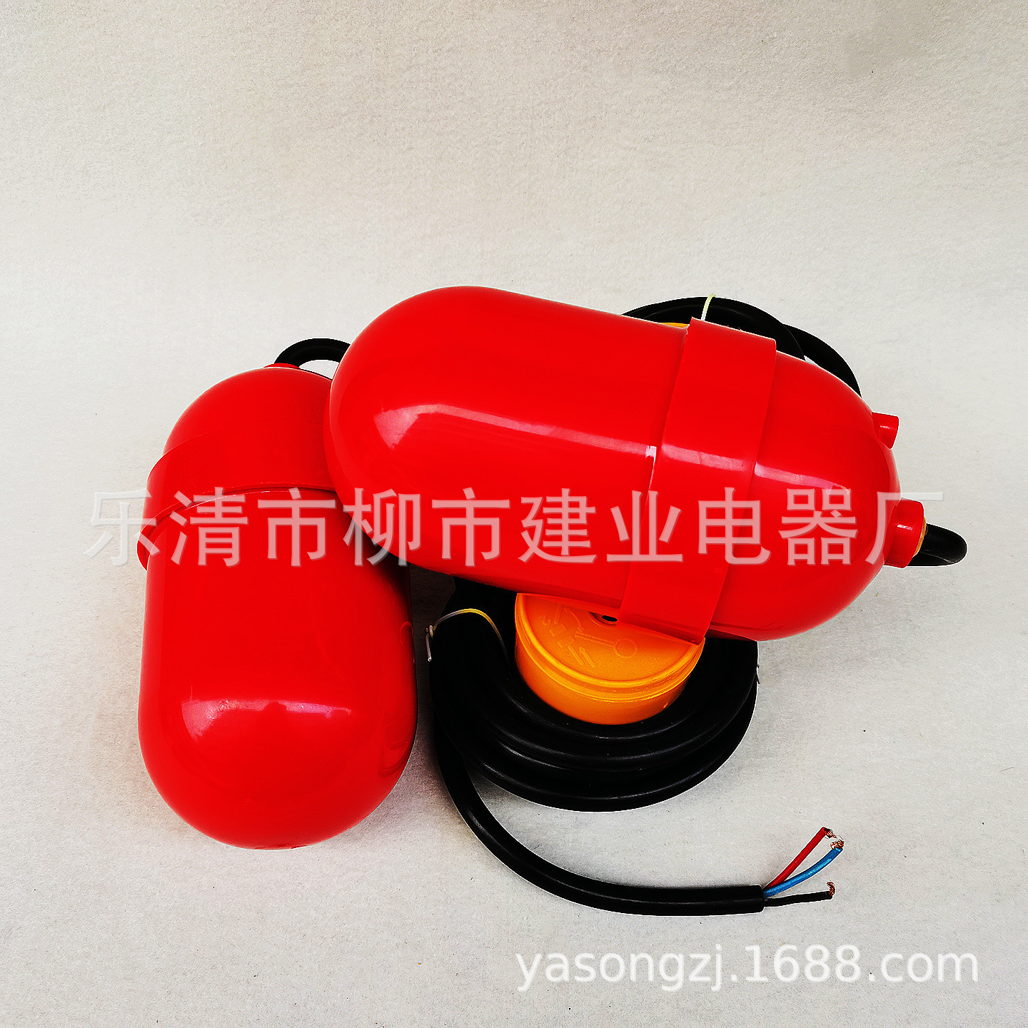 IMG_20240305_170245_副本