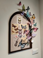 ë֠NbƷb늱ëְƬ߼չʾ