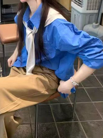 2025新款设计感克莱因蓝衬衣设计感小众法式内搭打底外穿衬衫|undefined