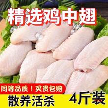 �r���u����4���u������u�������r��ɢ�B����u����2��